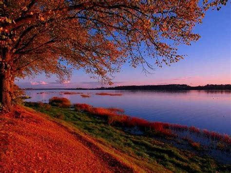 Pin By Janice Montano On Autumn Cool Pictures Of Nature Sunset Latvia