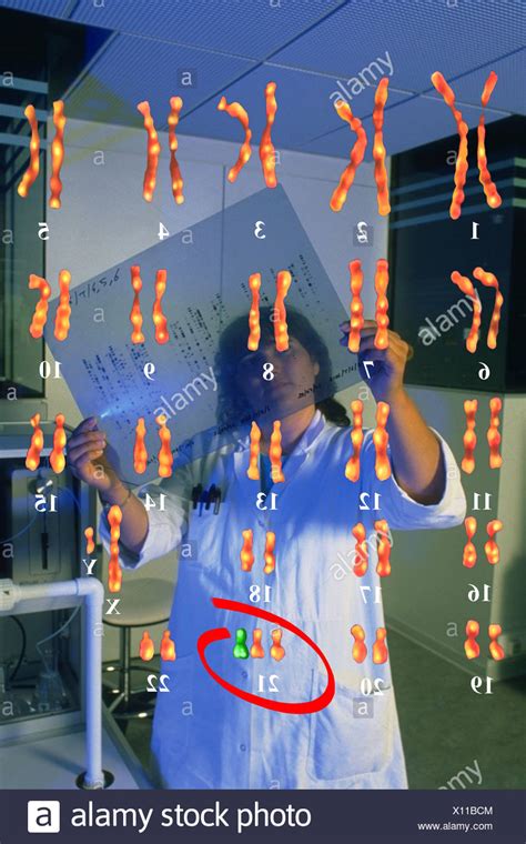 Karyotype Male High Resolution Stock Photography And Images Alamy