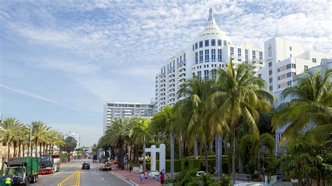 Hotels Near Collins Avenue, Miami Beach - Amazing Deals
