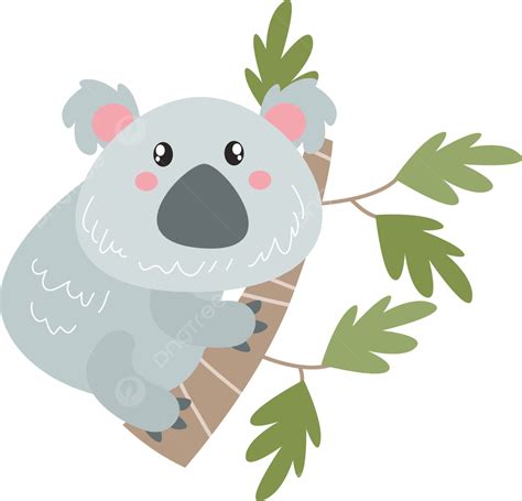 Gambar Kebun Binatang Kartun Animasi Hewan Peliharaan Koala Koala