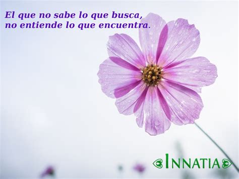 Top Imagen Frases De Amistad Con Imagenes De Flores