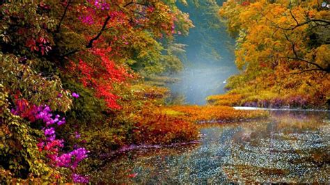 Beautiful Scenery Colorful Autumn Fall Trees Hd Scenery Wallpapers Hd Wallpapers Id 83939