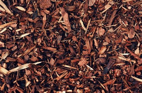 The Ultimate Guide To Mulching Types Techniques And How To Make It