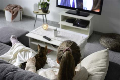 I Gatti Riescono A Vedere La Tv Cosa Dicono Gli Esperti