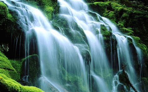 Green Cascading Waterfall Rocks Moss Green Wallpaper Hd 1920x1200