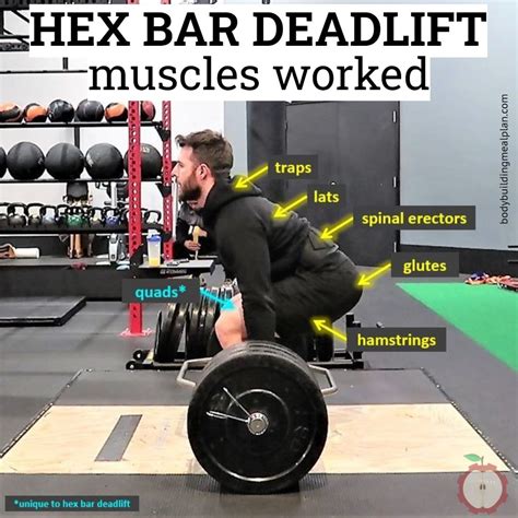 hex bar deadlift muscles worked hex bar deadlift bar workout deadlift