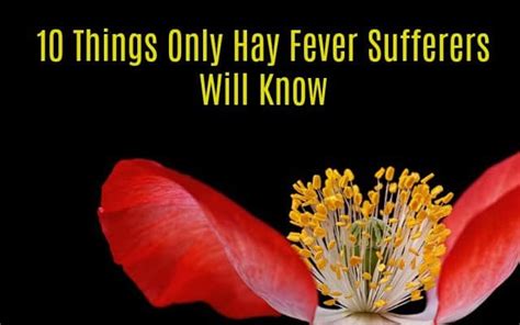 Things Only Hay Fever Sufferers Will Know Life Love And Dirty Dishes
