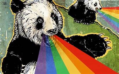 Panda Rainbow Bear Horror Trippy Wallpapers Animated