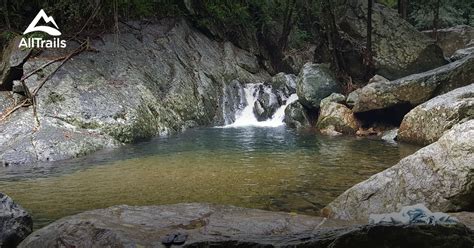 Best Trails In Barron Gorge National Park Queensland Australia