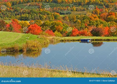 Autumn Colors Maple Trees And Pond Stock Image Image Of York Fall