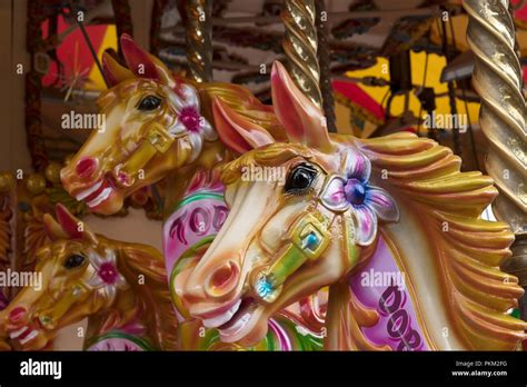Carousel Horse Head Horses Heads Detail Fairground Merry Go