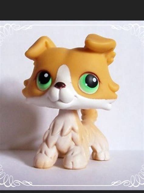 Sunny The Collie Custom Lps By Thatg33kgirl On Deviantart Artofit