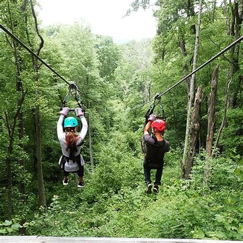 Unbiased Review Of Navitat Canopy Adventures In Asheville