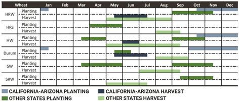 Planting The Crop Us Wheat Seeding Involves Careful Planning