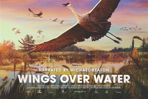 Giant Screen Theater Immersive Documentaries Wings Over Water
