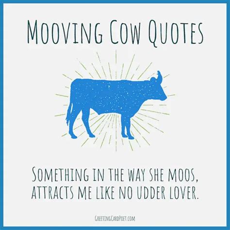 13 Quotes For Cows Takirafitriyah