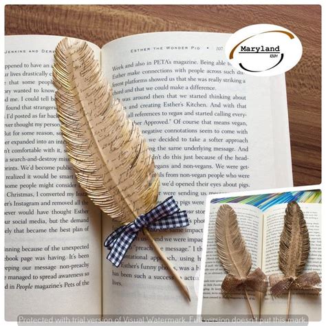 Unique Feather Bookmark And 10 Pound Bill Bookmark From Paper Handmade