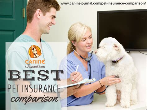 Maybe you would like to learn more about one of these? Pet Insurance Comparison: Compare Plans And Benefits | Pet insurance quotes, Pet insurance ...