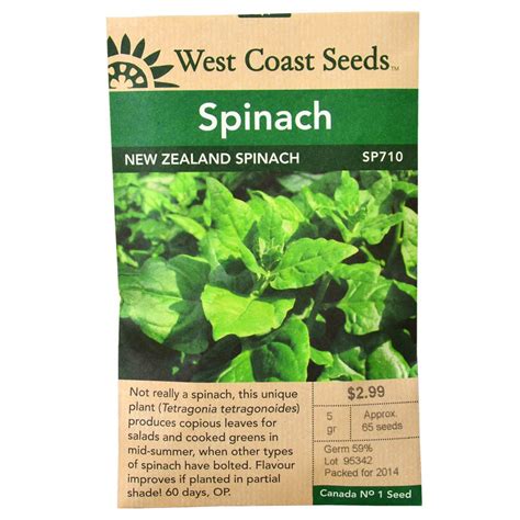 New Zealand Spinach Seeds West Coast Seeds Arts Nursery Ltd