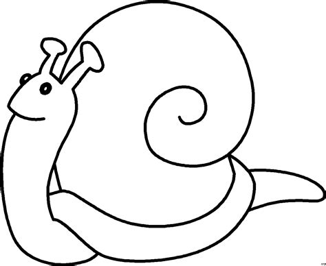 Bauzinho Da Web BaÚ Da Web Lindos Desenhos De Caracol Para Colorir