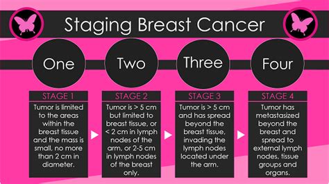 Triple Negative Stage 3 Breast Cancer Integradas En Salud
