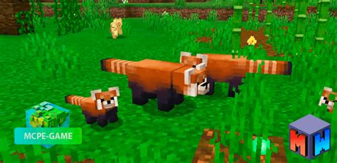 Minecraft Red Panda Add On Download And Review Mcpe Game