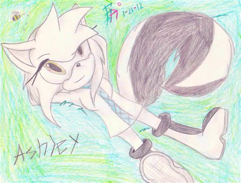 Ashley Skunk Sonic Fan Characters Fan Art 28621678 Fanpop