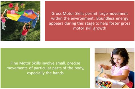 What is fine and gross motor skills? | Gross motor skills, Fine motor skills, Gross motor