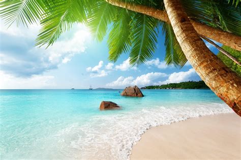 Tropical Beach Paradise Wallpapers Wallpaper Cave