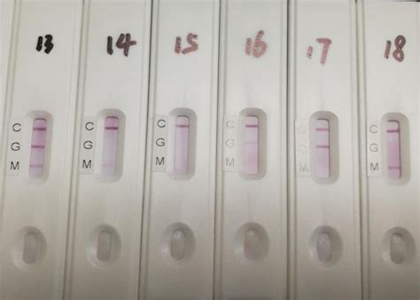 Lateral flow assays can be developed to be used in a dipstick format or in a housed cassette. COVID-19 Coronavirus current events | Page 10 | Metabunk
