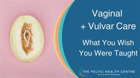 Vaginal And Vulvar Care What You Wish You Would Have Been Taught
