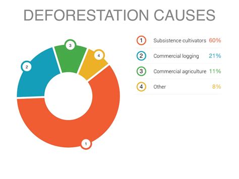 5 Major Causes Of Deforestation Images And Photos Finder