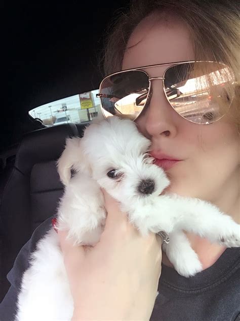 New puppies are listed at a starting price for their breed and size category. Pin by Dixie Mayfield on Maltipoo babies | Teacup puppies ...