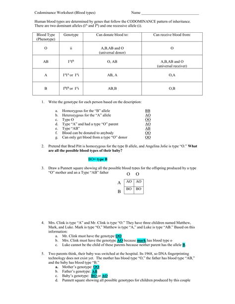 Codominance Multiple Alleles Worksheet Answers