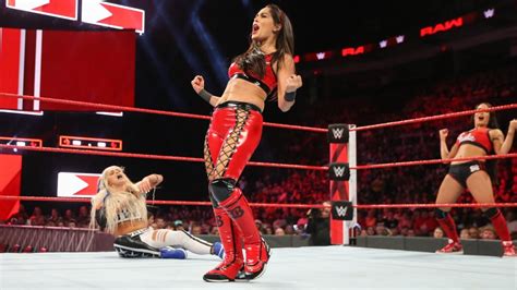 The Bella Twins Nikkis 5 Best Attires And 5 Of Bries