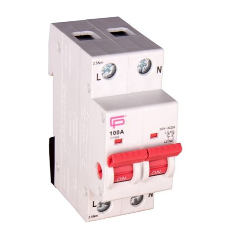 Fusebox 100a 2 Pole Mains Switch It1002 Sparkys Mate