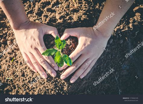 Hand Planting Trees Back Forest Factors Stock Photo 1179342145