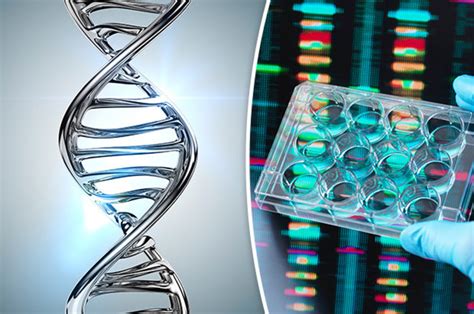 Dna Facts 10 Things You Probably Didnt Know About Your Dna Daily Star