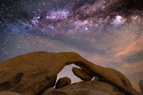 10 Extraordinary Joshua Tree National Park Facts Youll Want To Know
