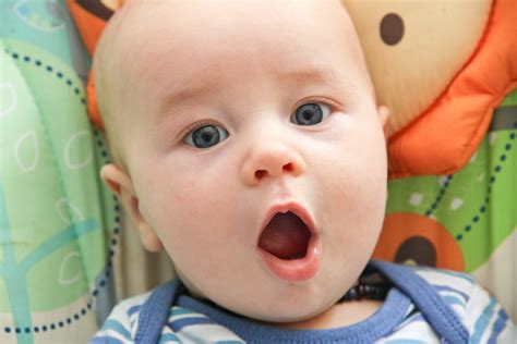 Surprised Baby Free Stock Photo Public Domain Pictures