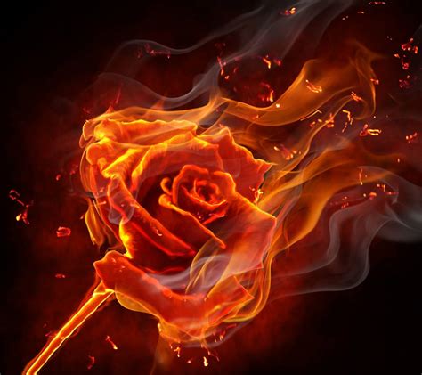 Rose On Fire Wallpapers Wallpaper Cave