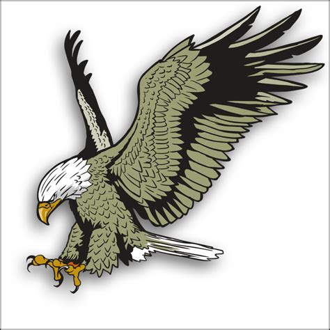 Soaring Eagle Clip Art