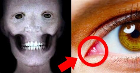 24 Creepy Facts About The Human Body That Will Gross You Out