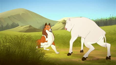 Lassie Animated Het Kostbare Geschenk Lassie Zappelin