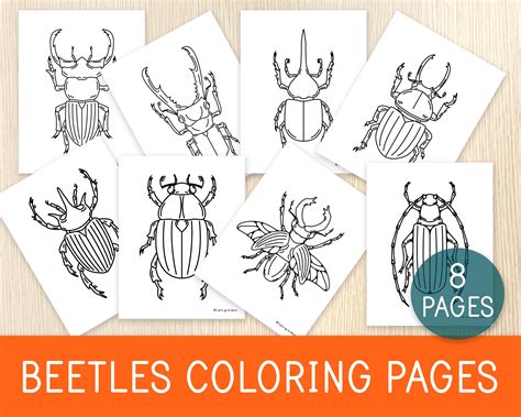 beetles coloring pages 8 printable sheets insects nature etsy uk