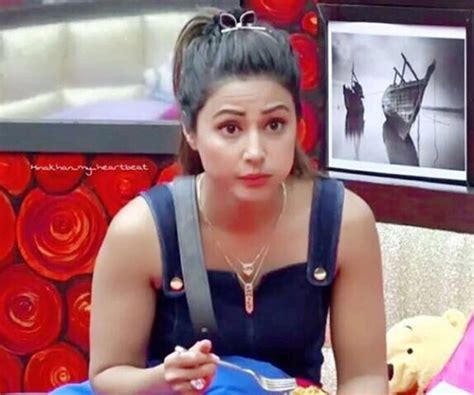 Hina Khan 6 Times The Bigg Boss 11 Contestant Expressed Her Rudeness