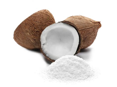 Coconut Milk Powder 1kg Albion Fine Foods
