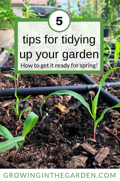 Tips For Spring Planting Spring Garden Checklist Growing In The