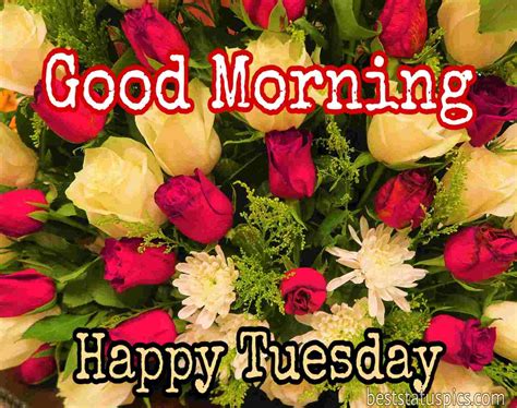 53 good morning happy tuesday images hd wishes [2022] best status pics