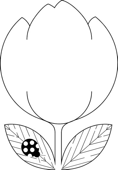Tulip Clipart Outlines Adding A Stylish Touch To Your Designs